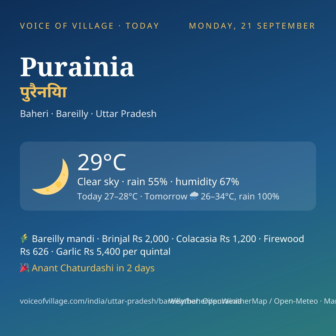 Purainia today
