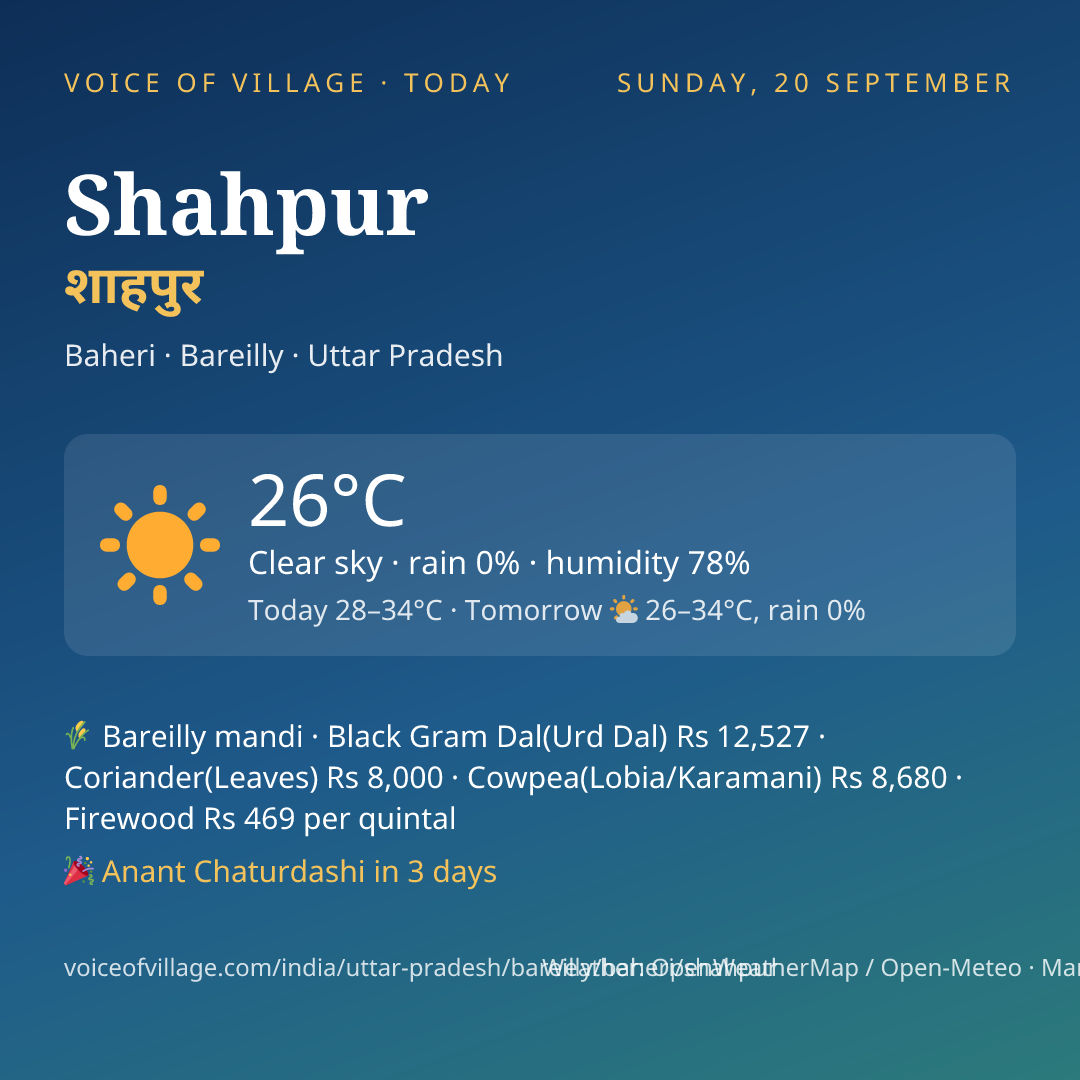 Shahpur today