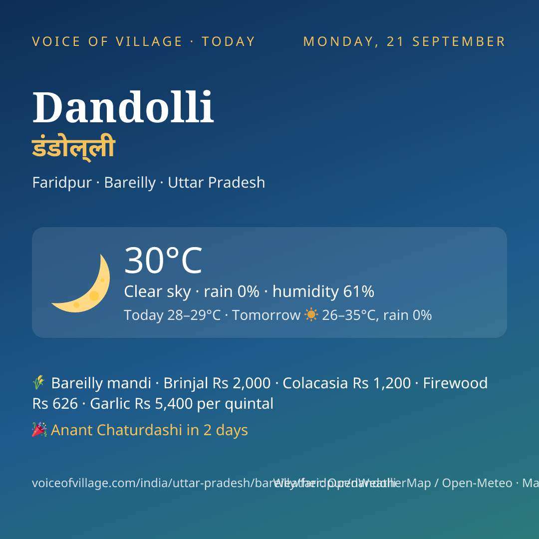Dandolli today