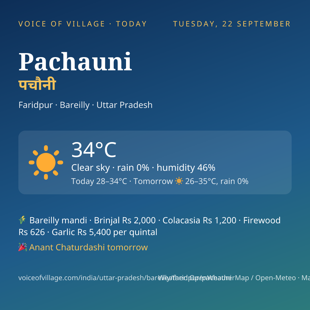 Pachauni today