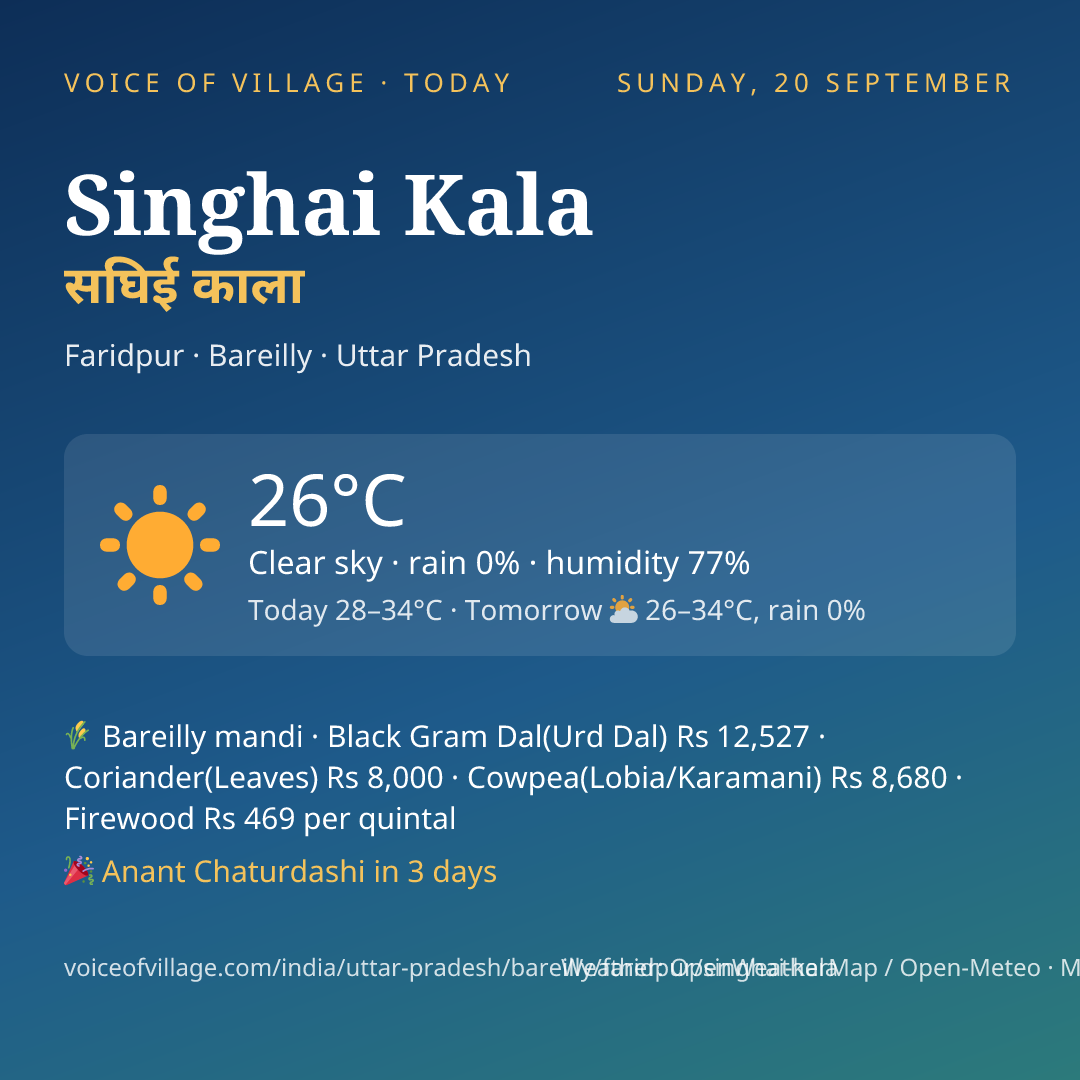 Singhai Kala today