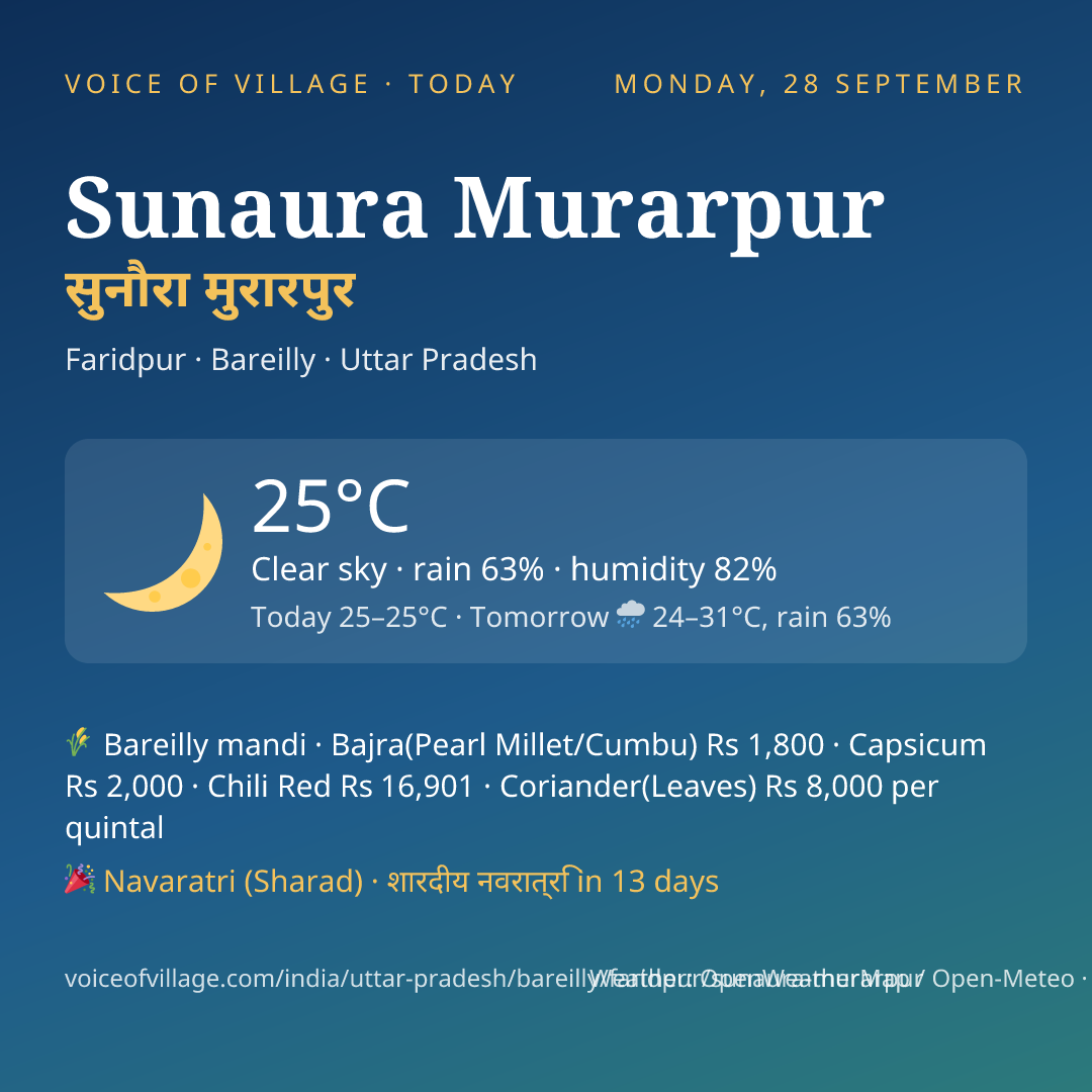 Sunaura Murarpur today