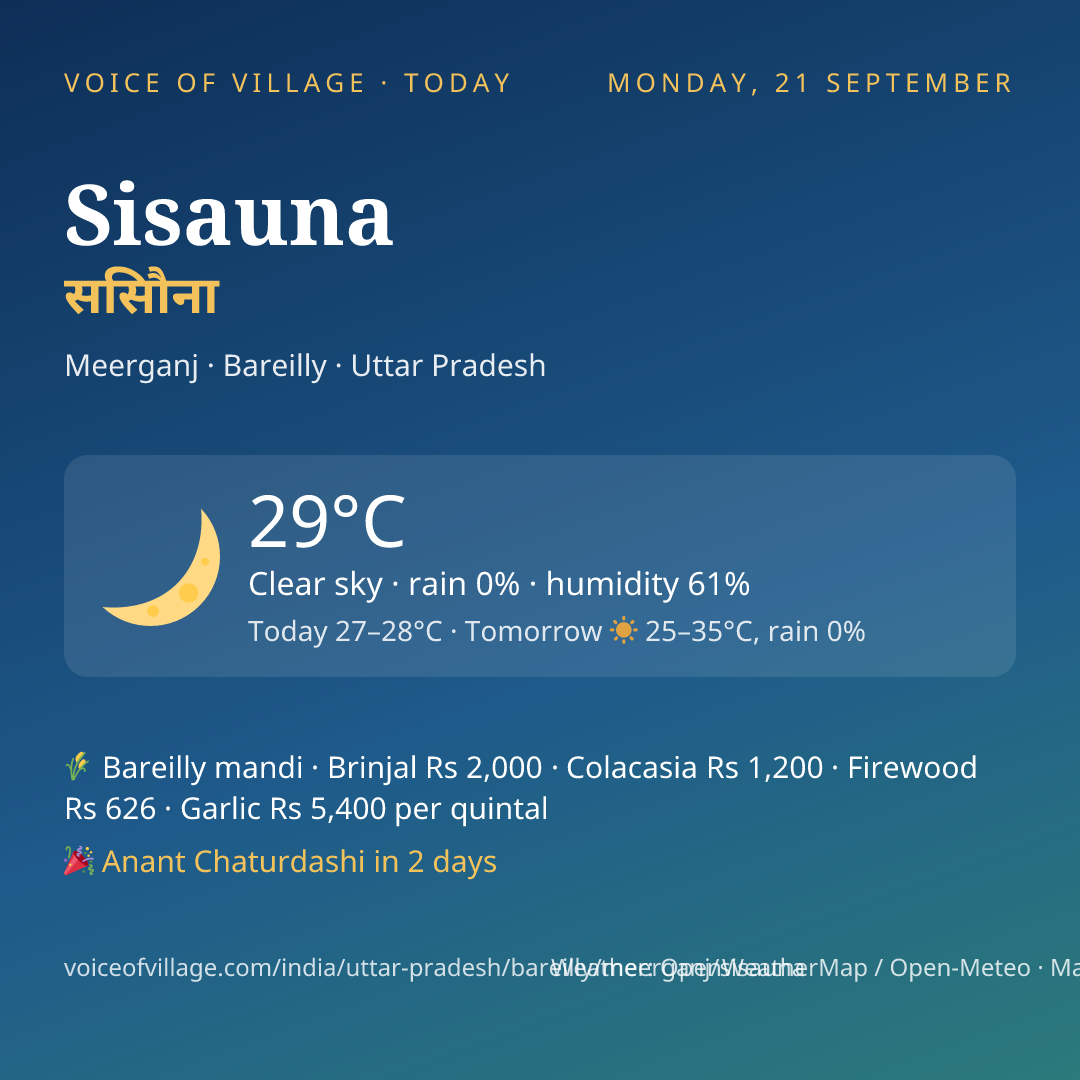 Sisauna today