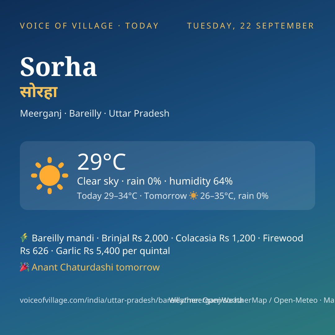 Sorha today