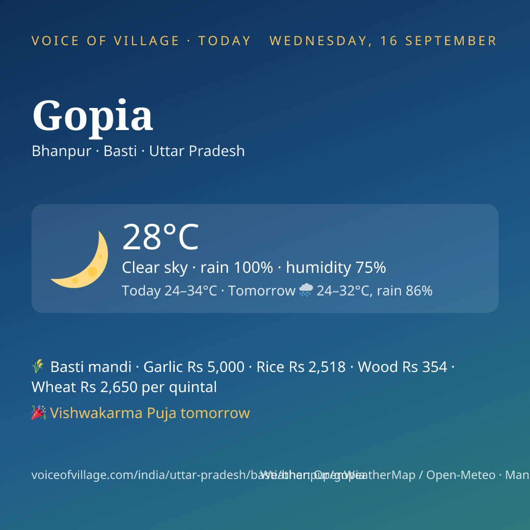 Gopia today