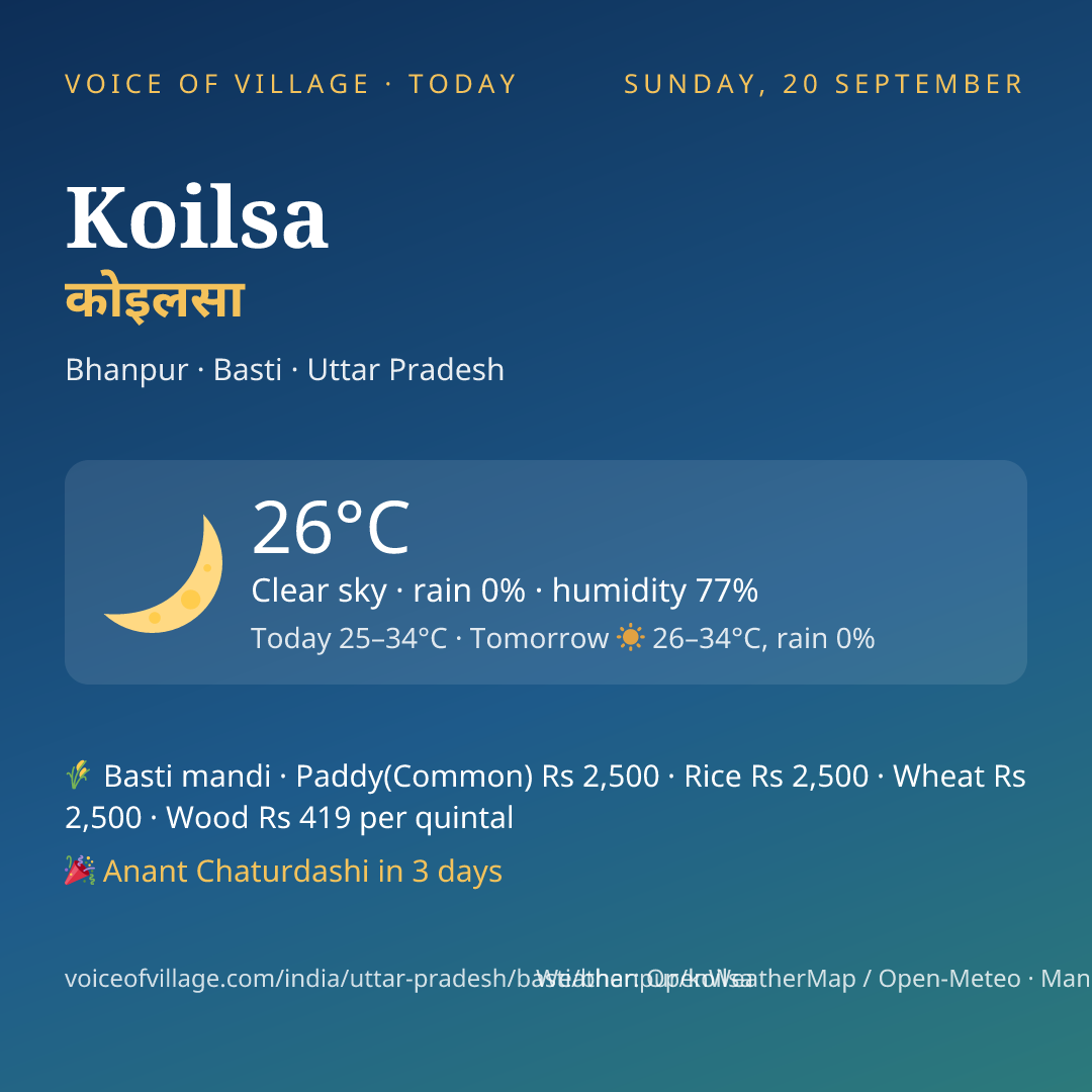 Koilsa today