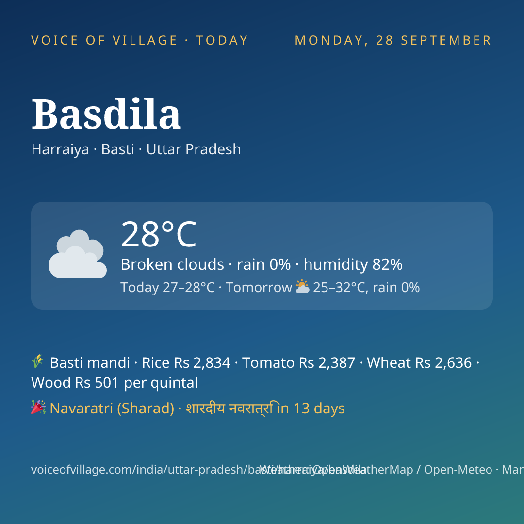 Basdila today