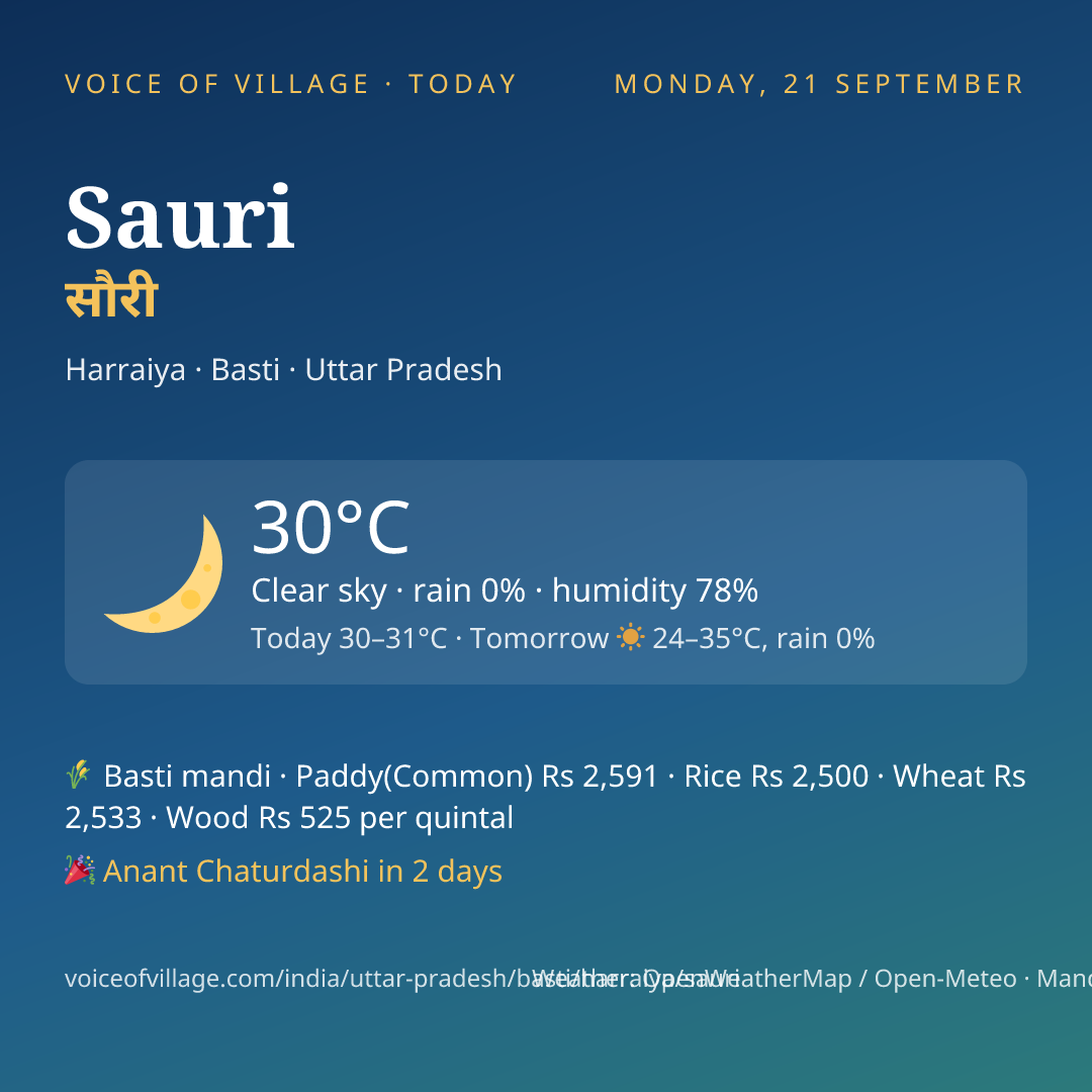 Sauri today