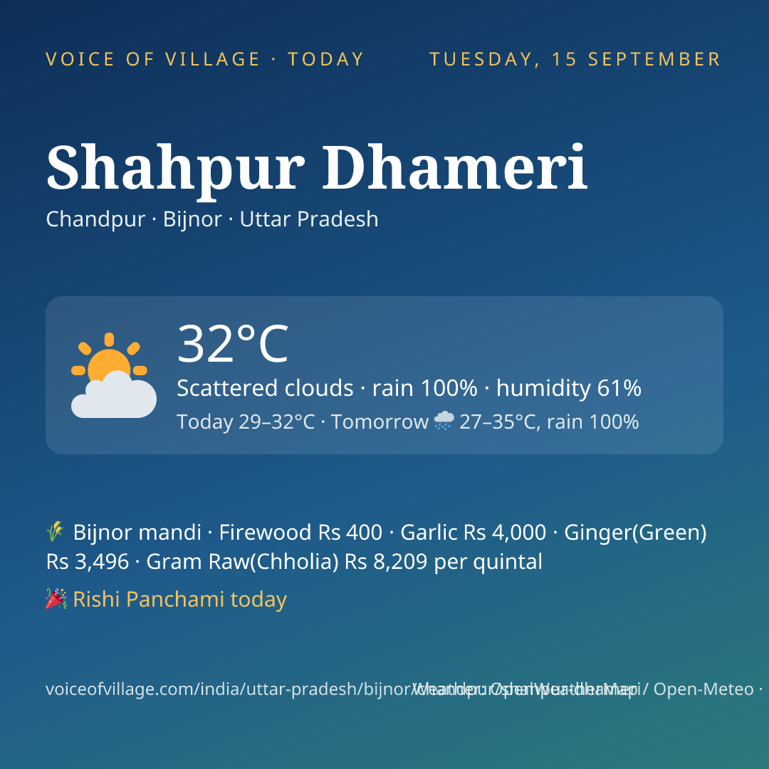 Shahpur Dhameri today