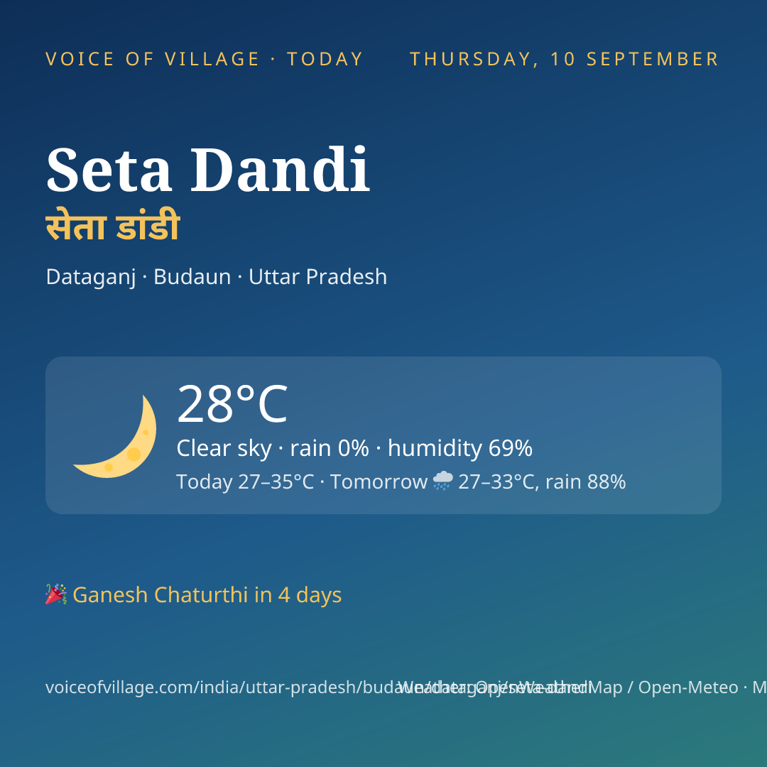 Seta Dandi today
