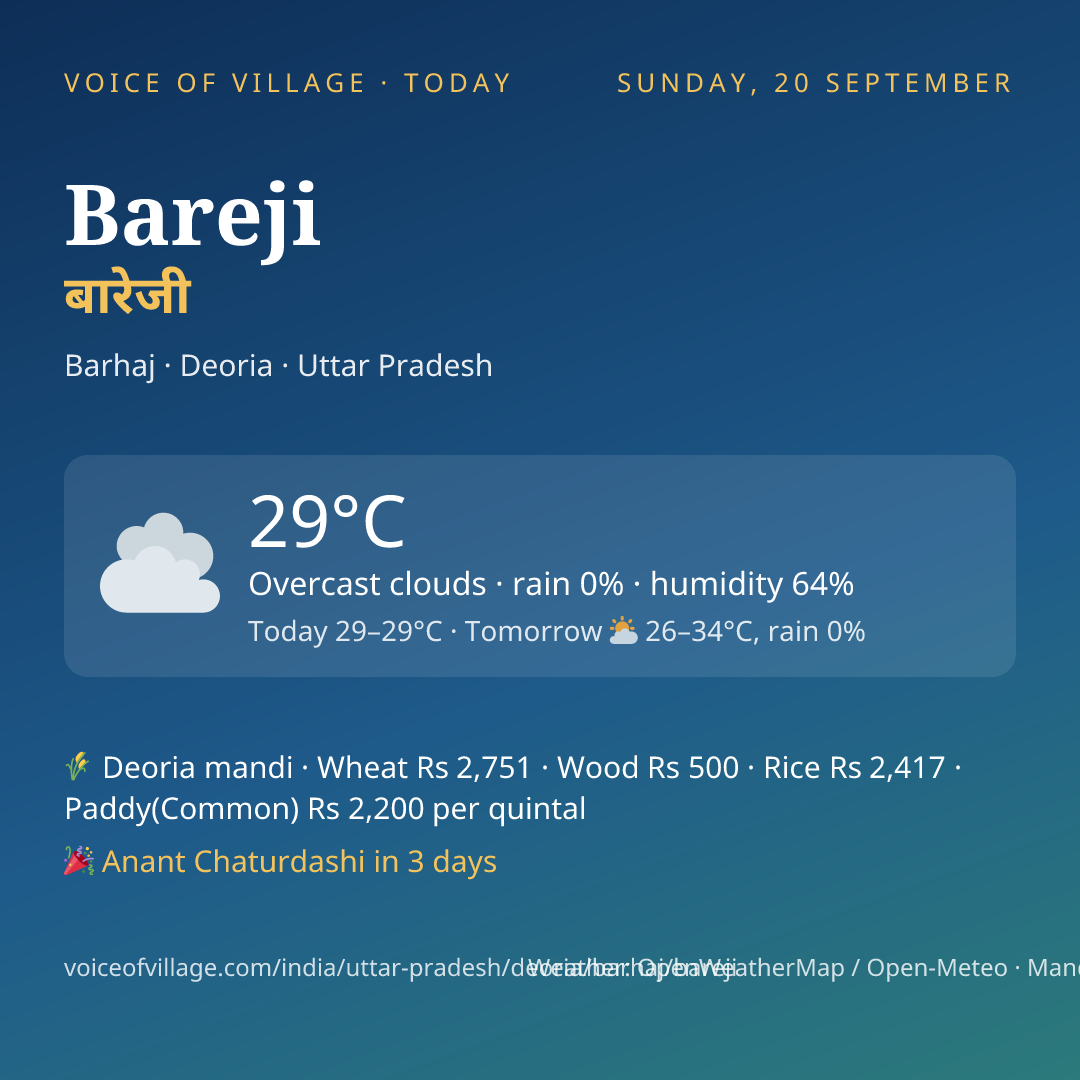 Bareji today