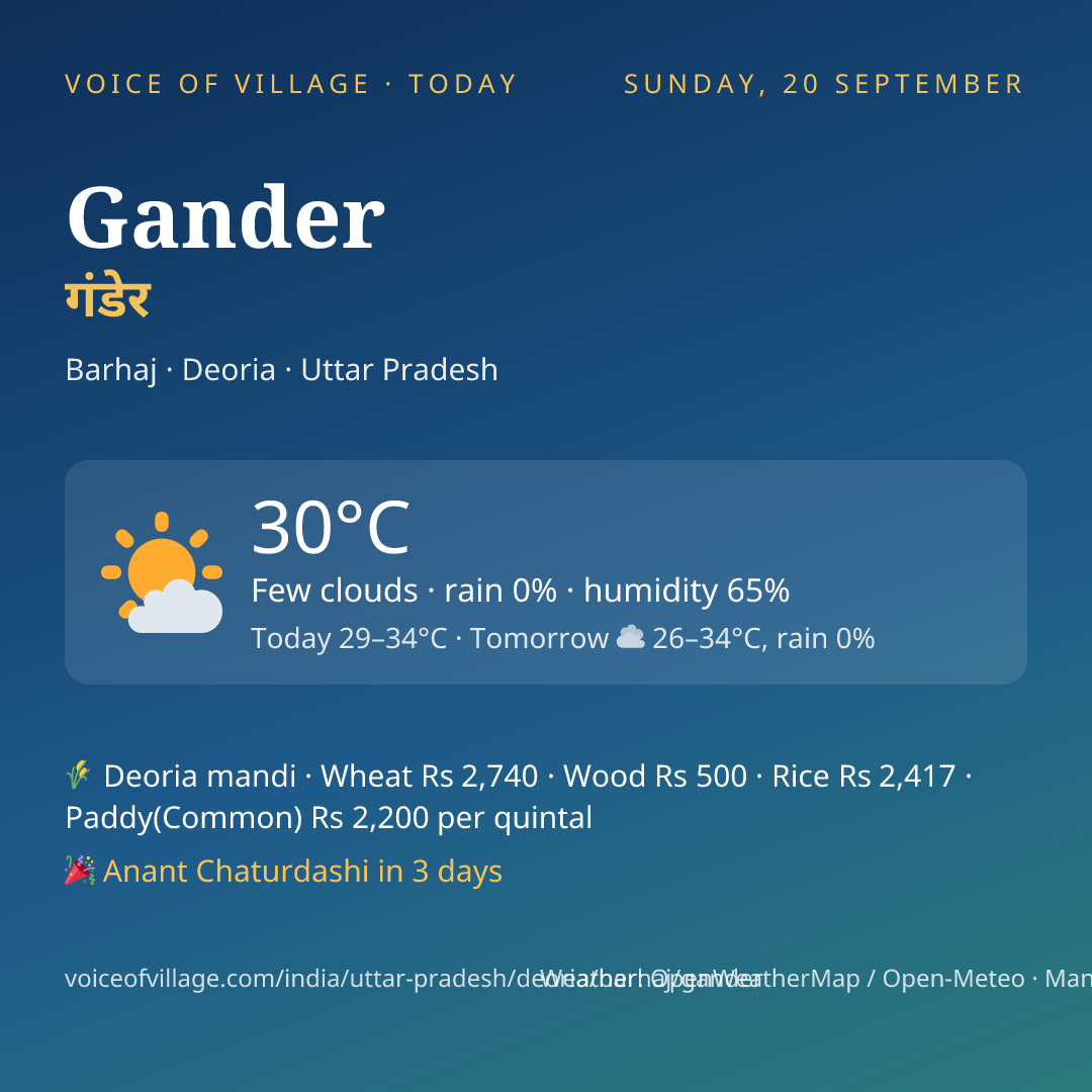 Gander today