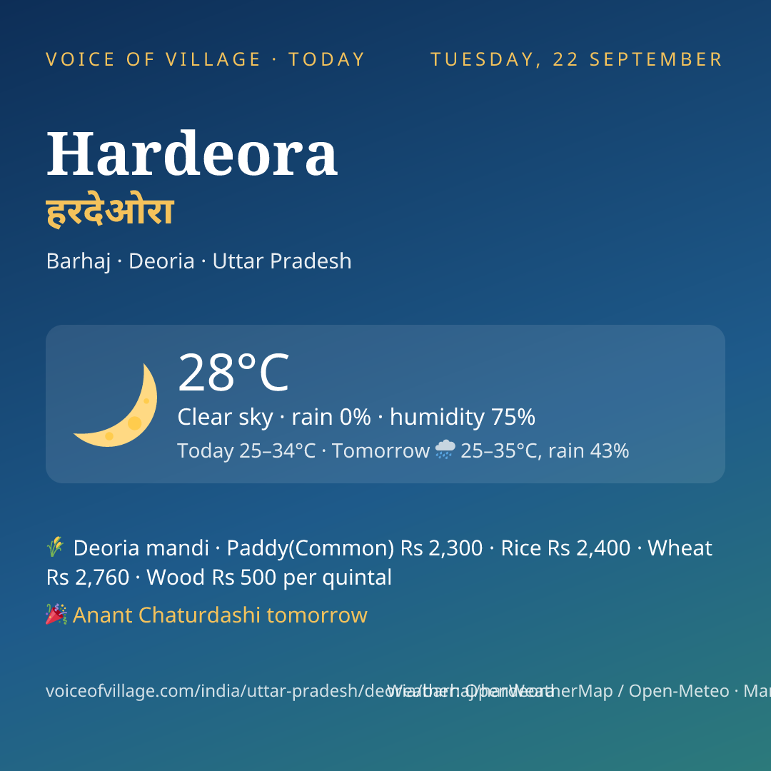 Hardeora today