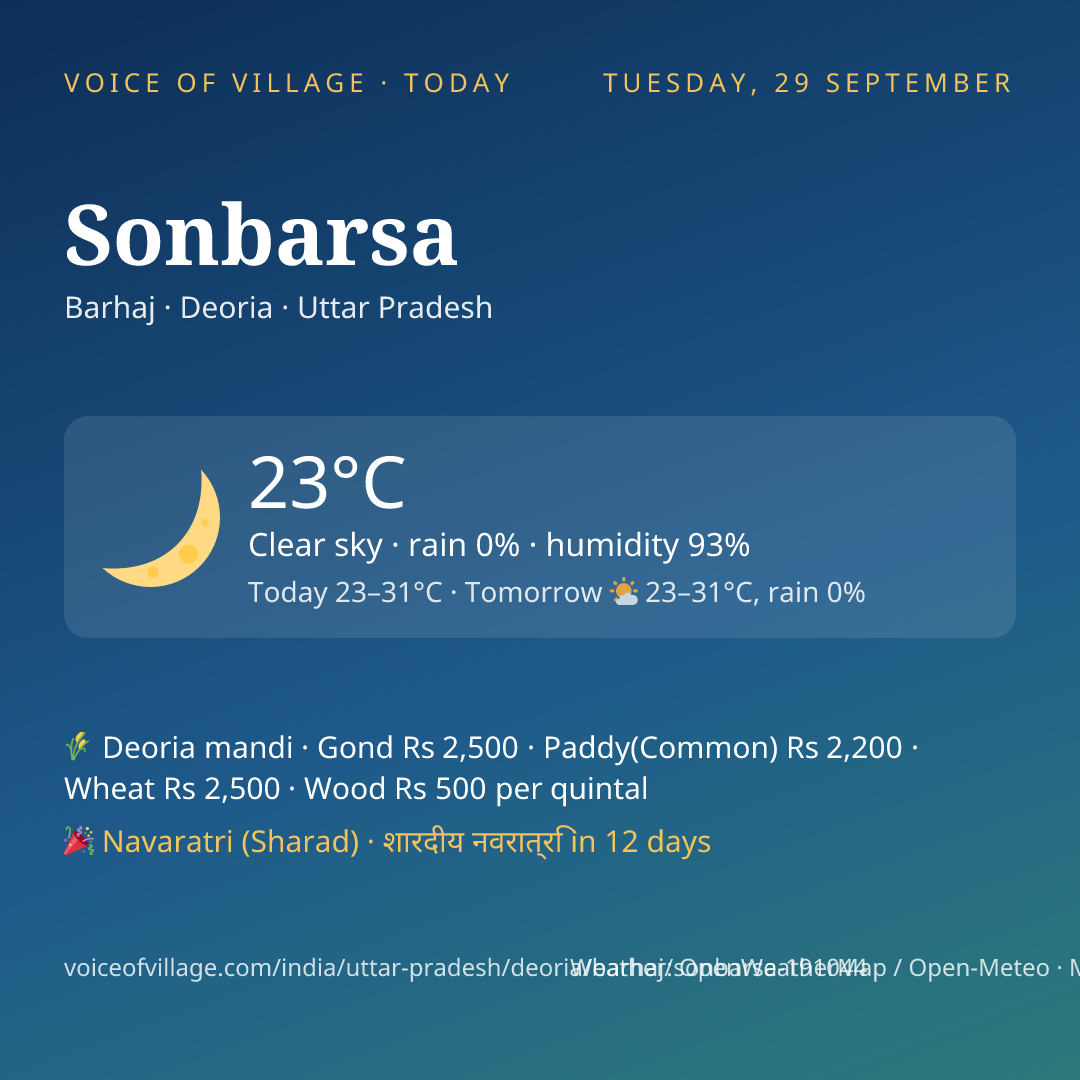 Sonbarsa today