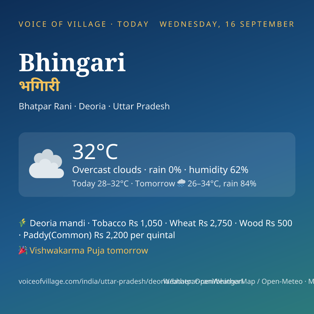 Bhingari today