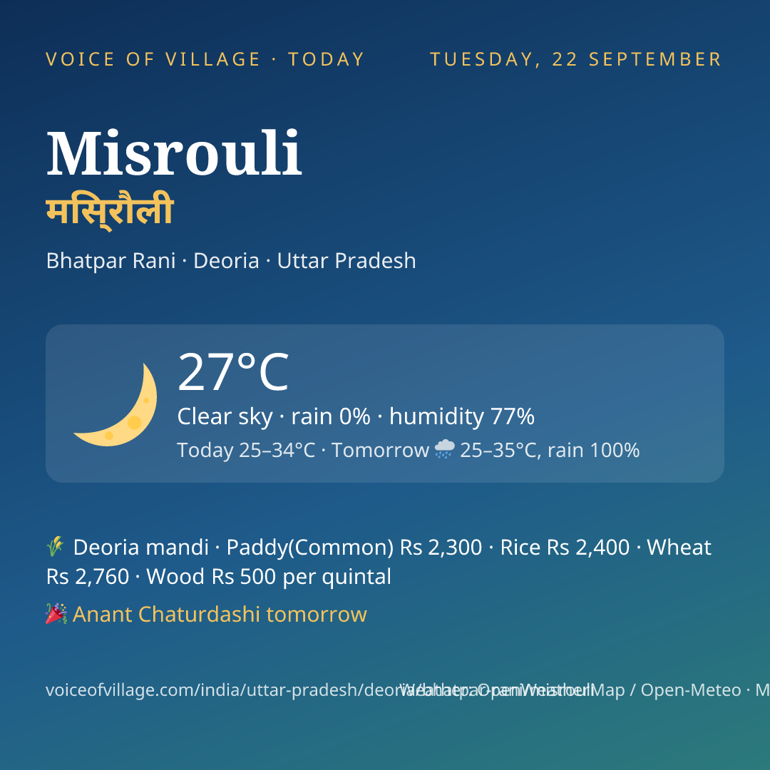 Misrouli today