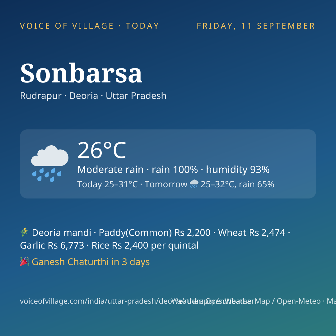 Sonbarsa today