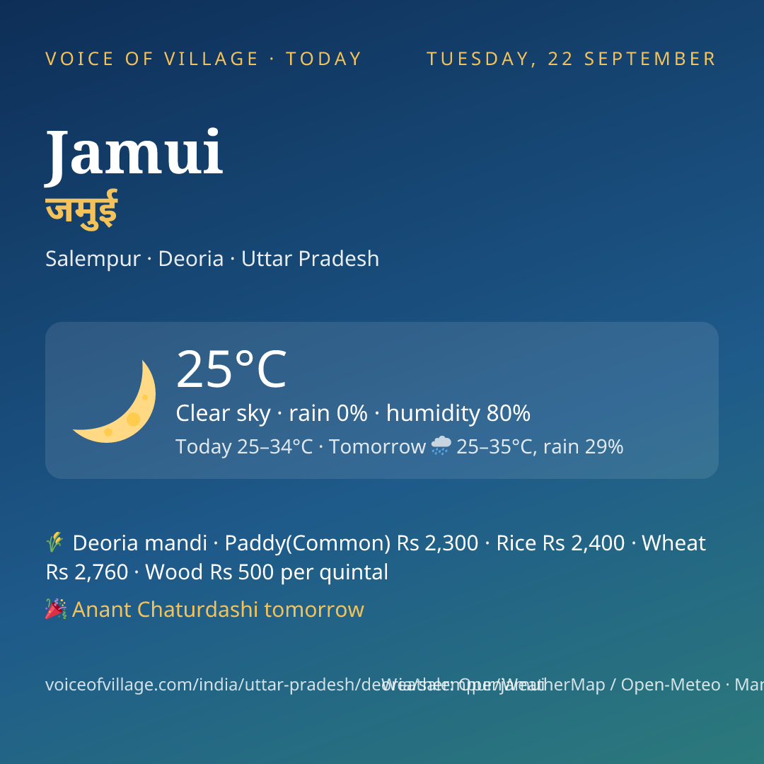 Jamui today