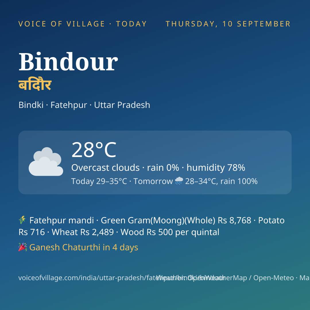 Bindour today