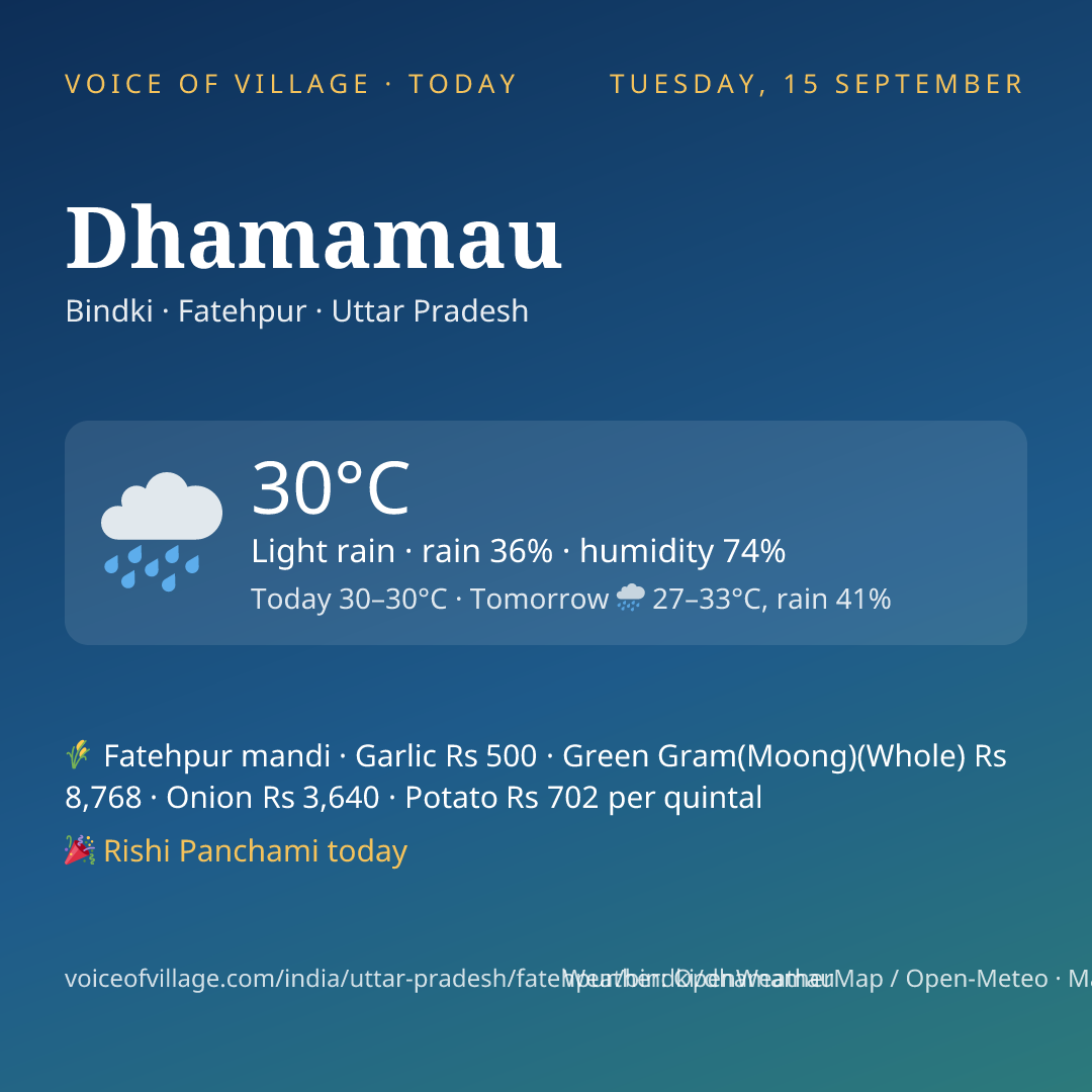 Dhamamau today