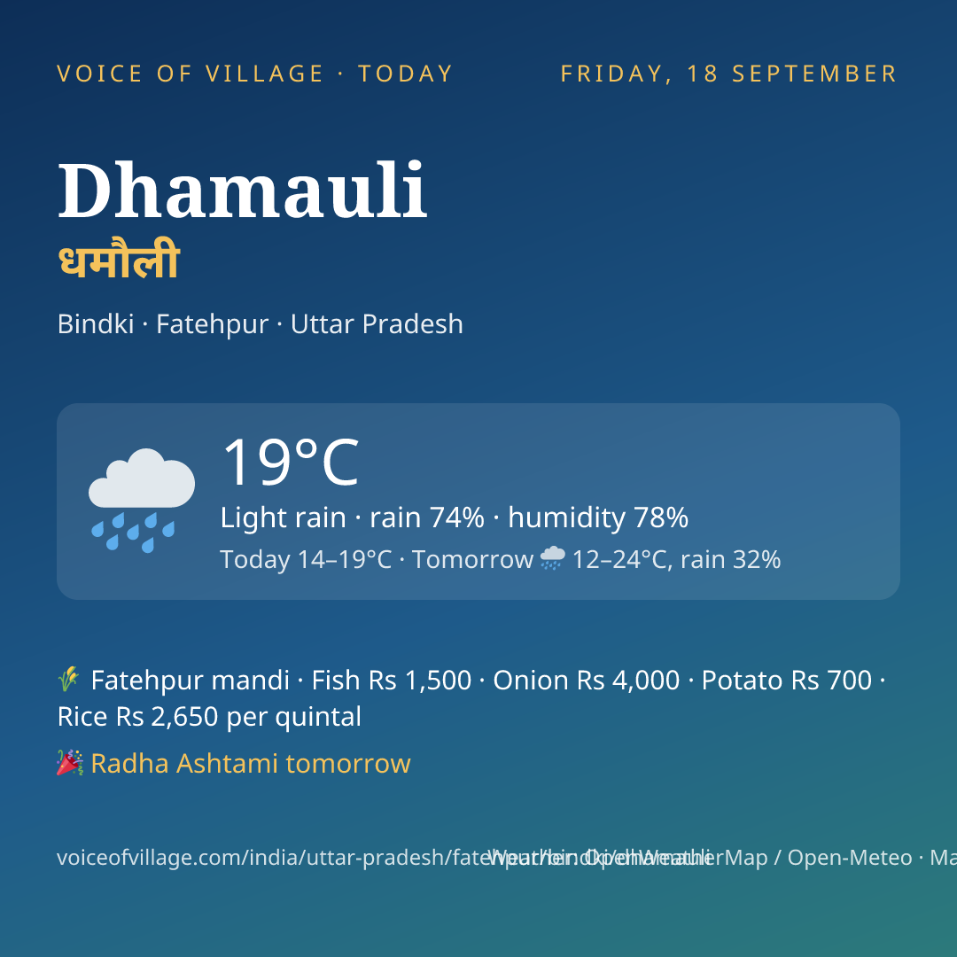Dhamauli today