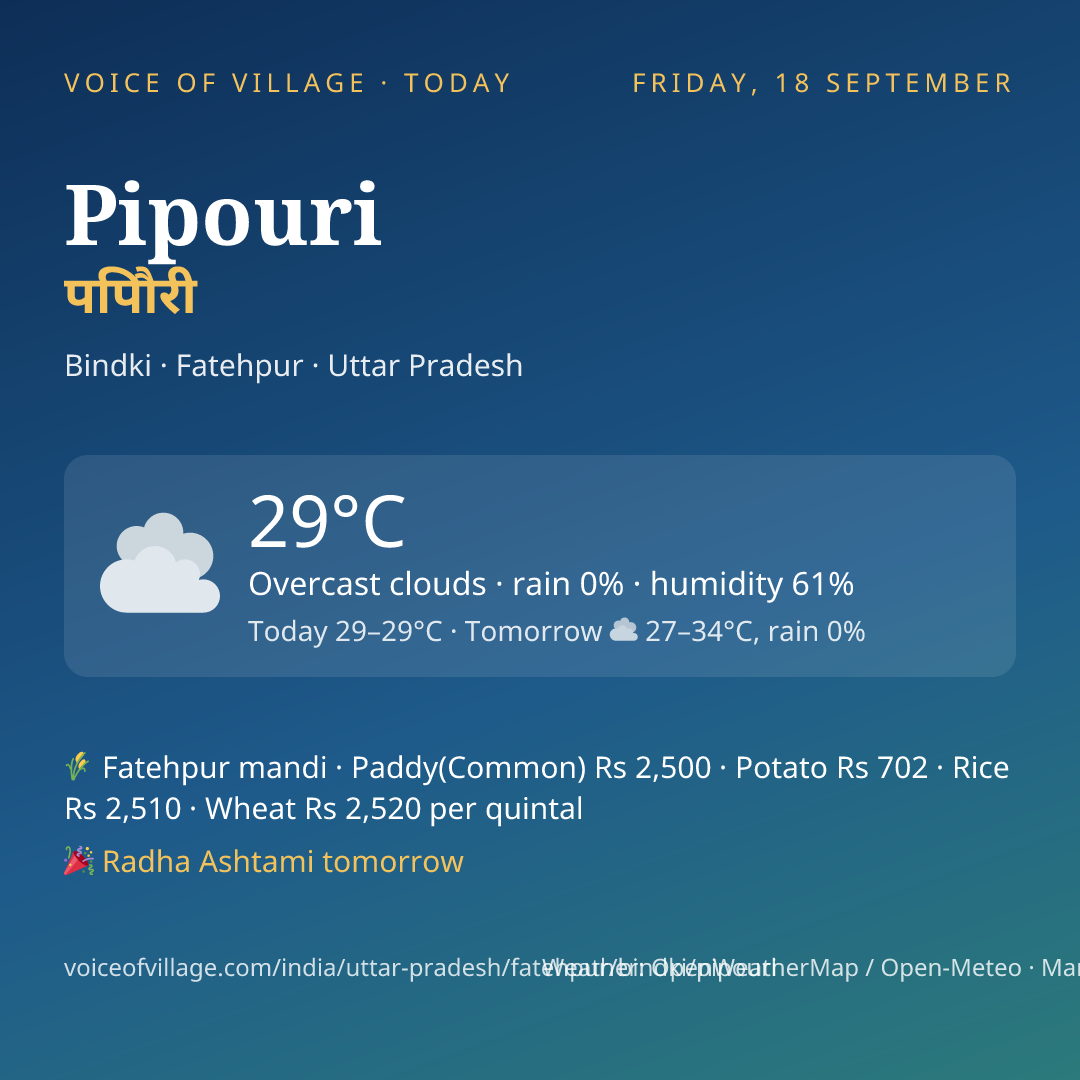 Pipouri today