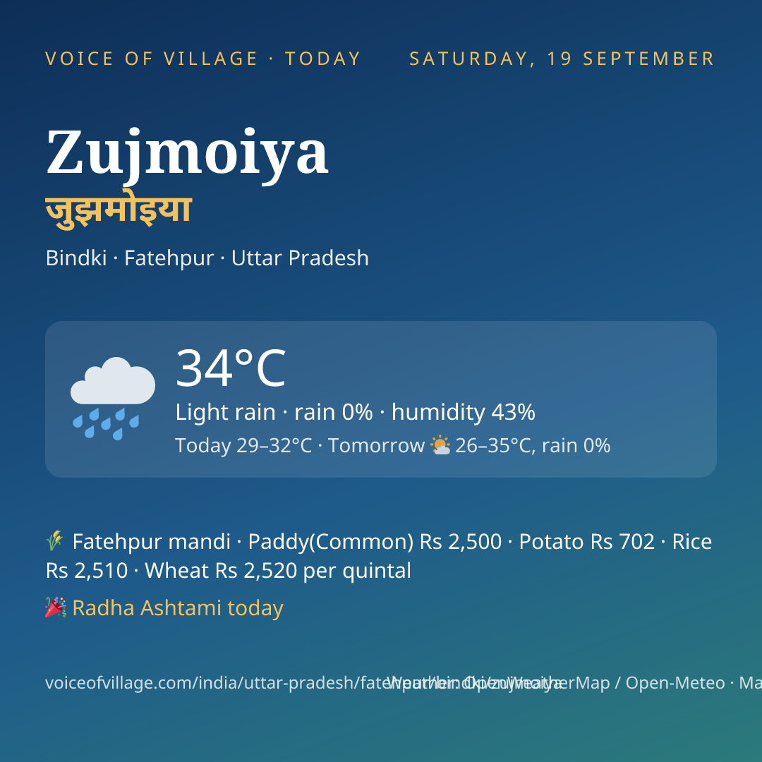 Zujmoiya today