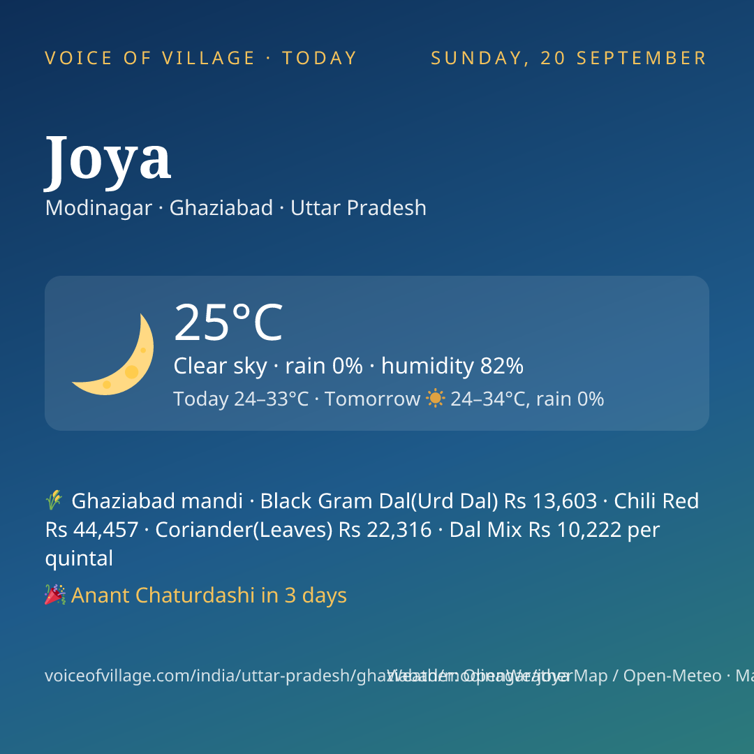 Joya today