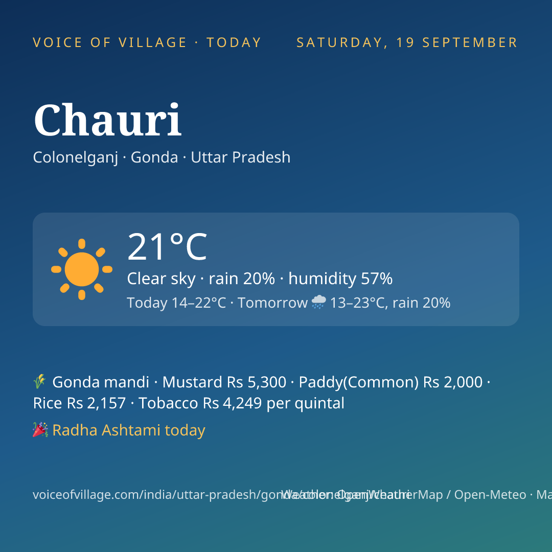 Chauri today