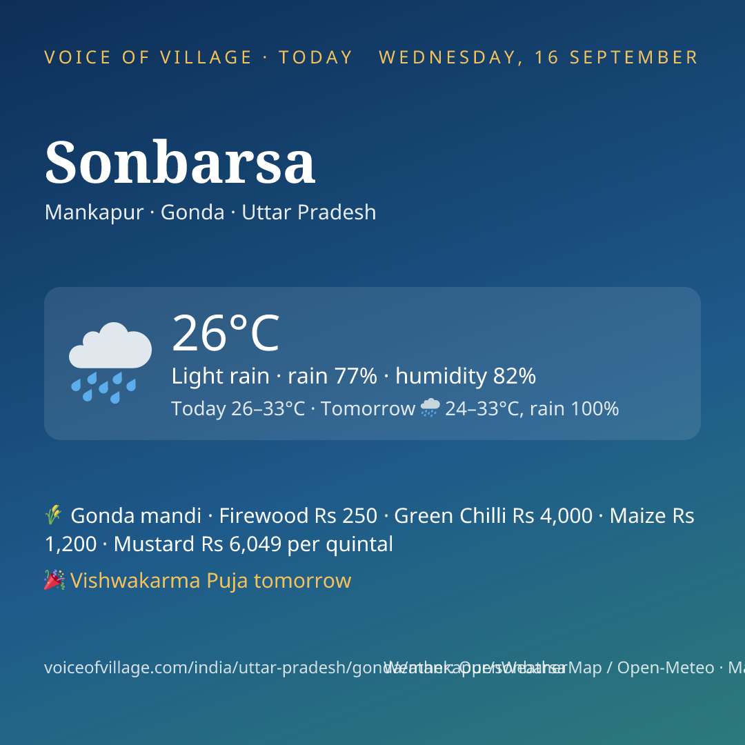 Sonbarsa today