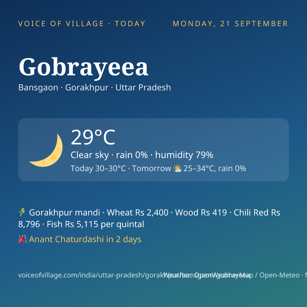 Gobrayeea today