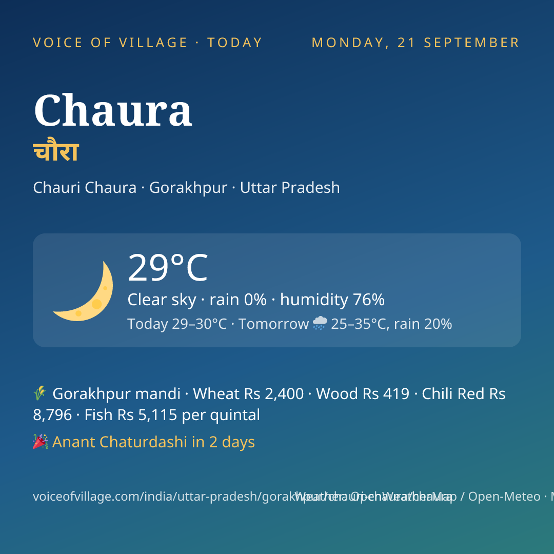 Chaura today