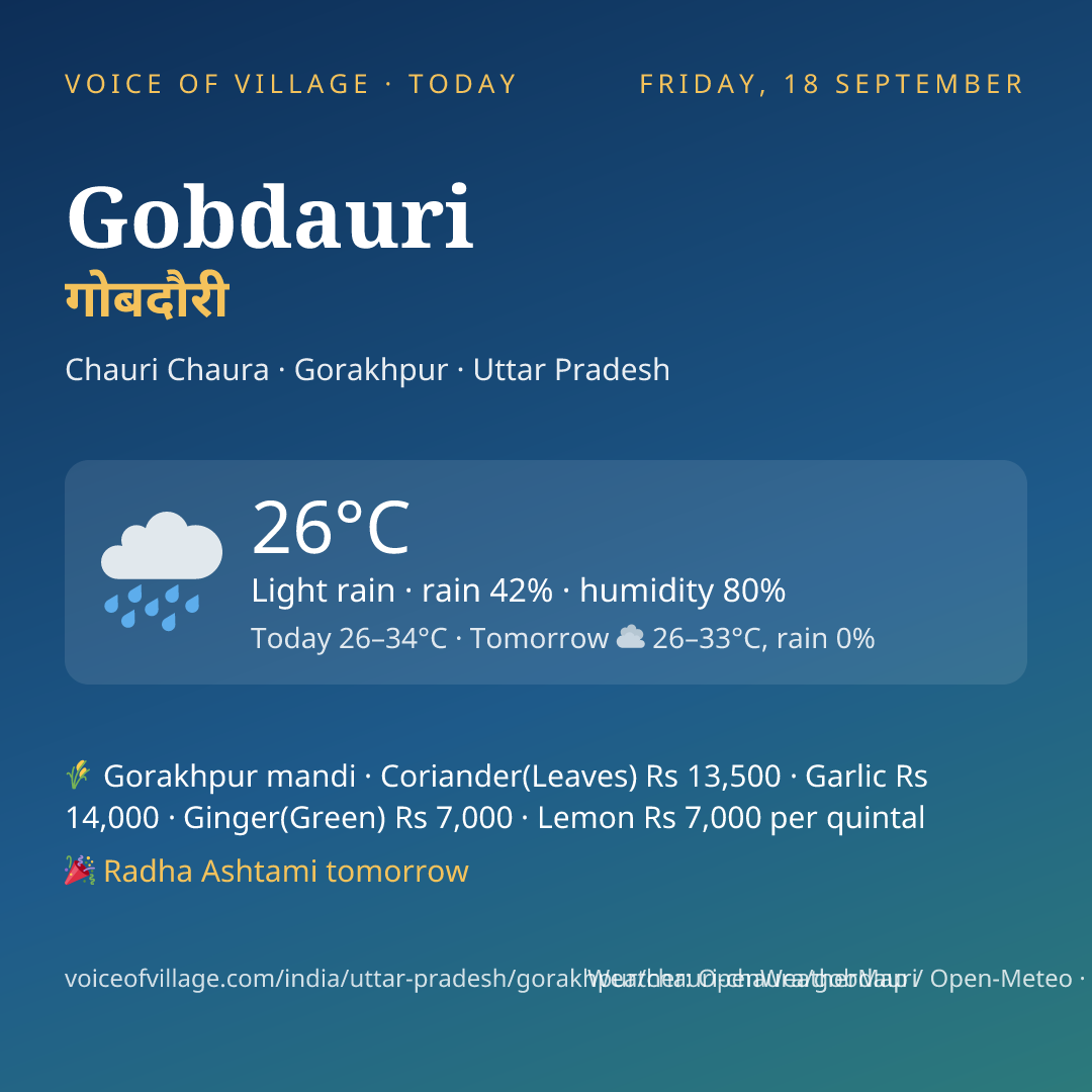 Gobdauri today