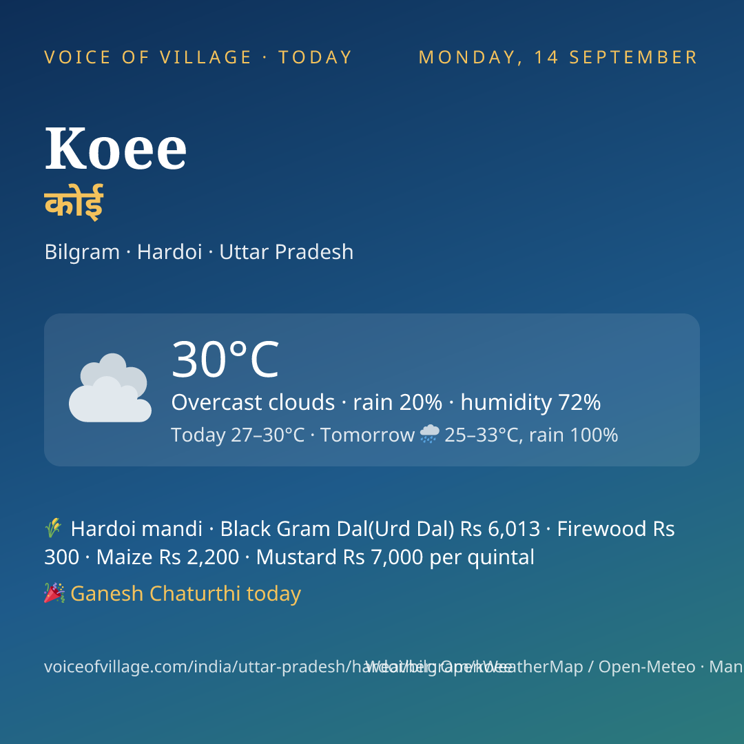 Koee today