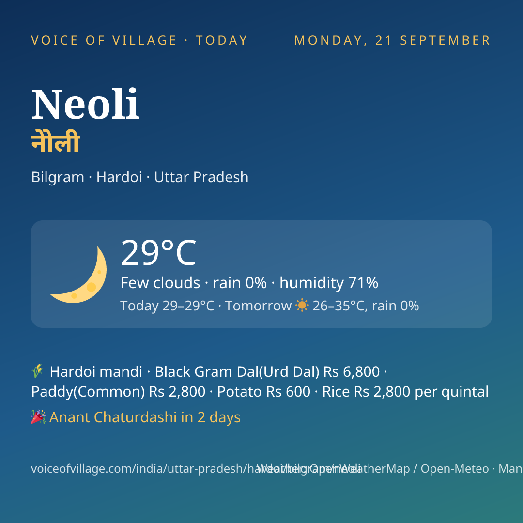 Neoli today
