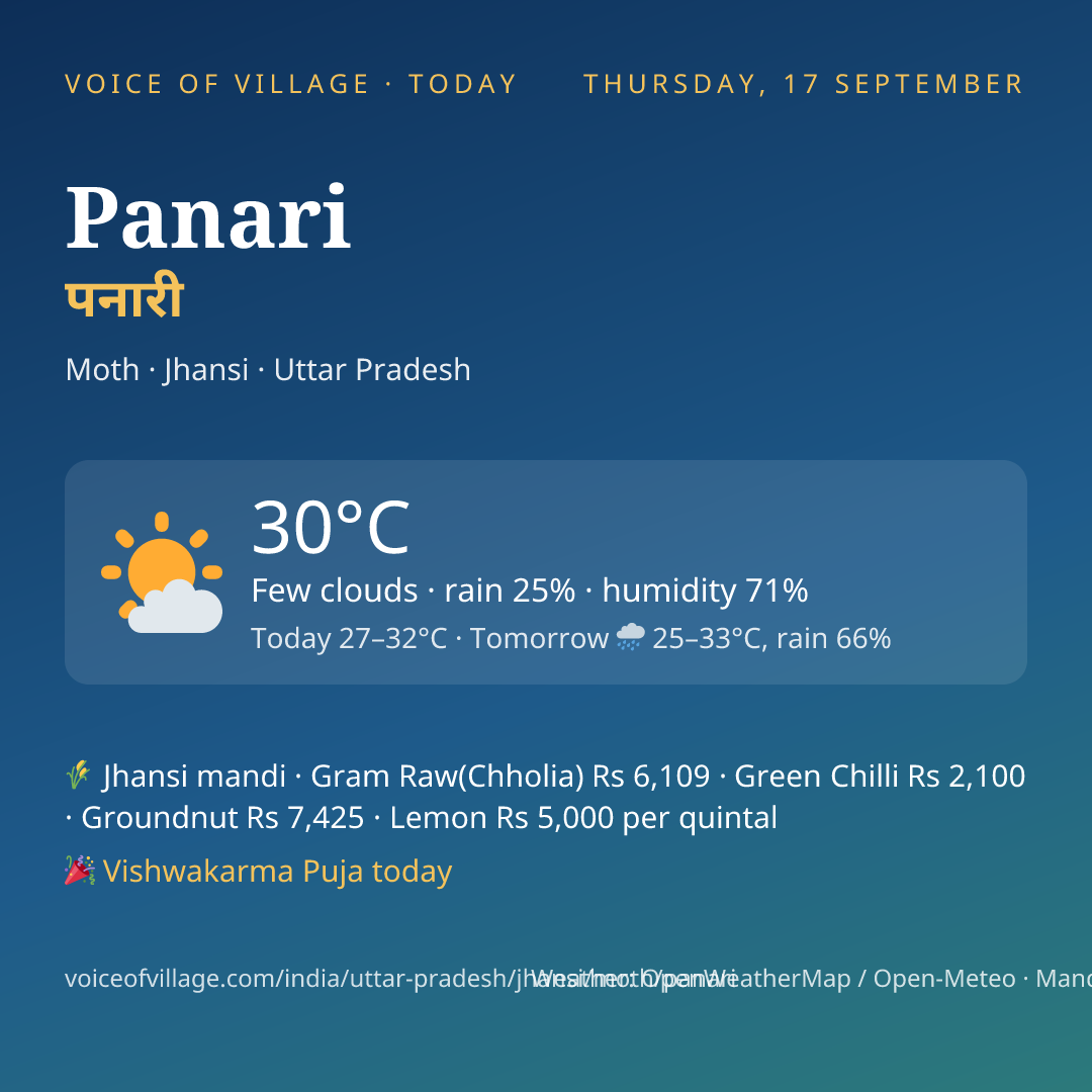 Panari today