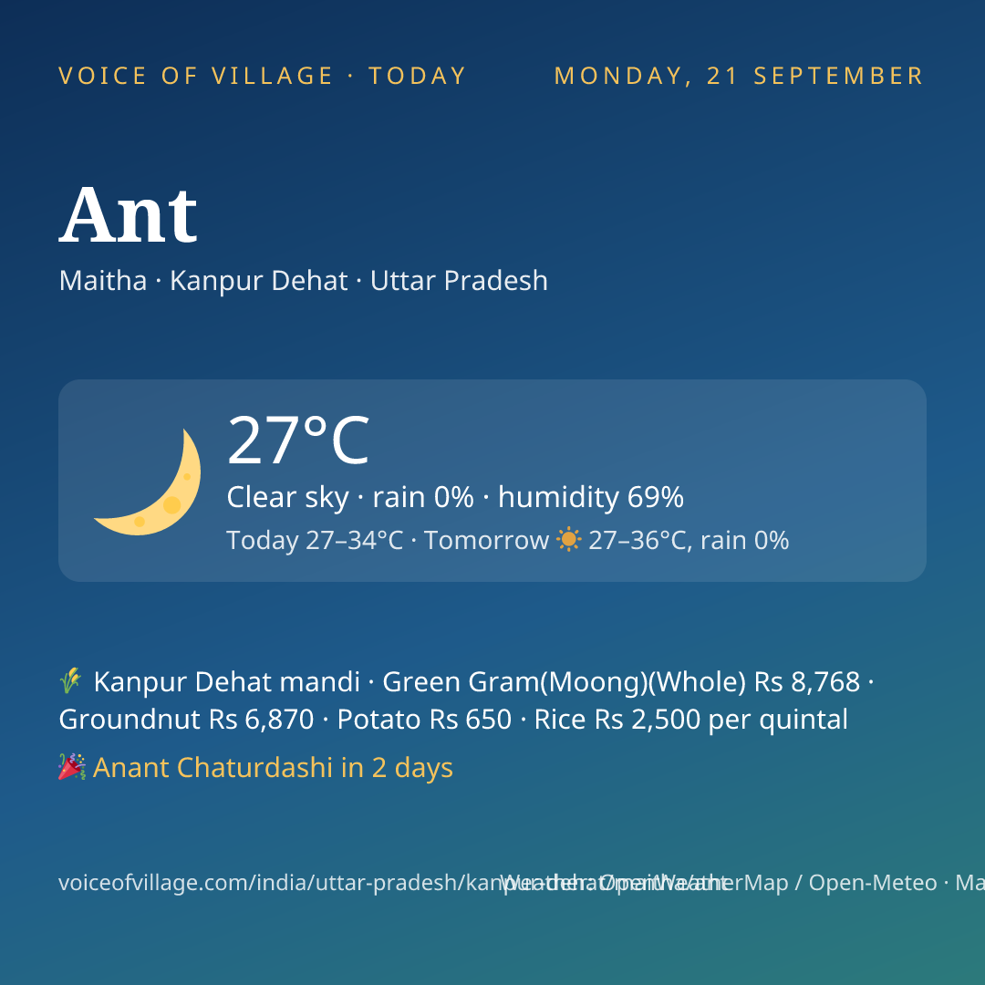 Ant today