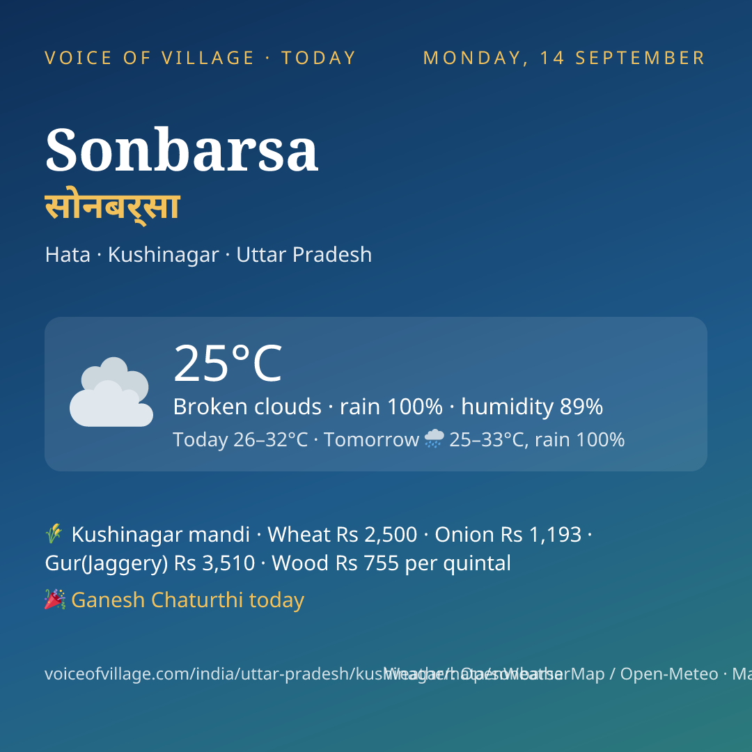 Sonbarsa today