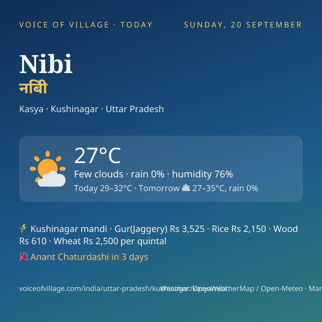 Nibi today