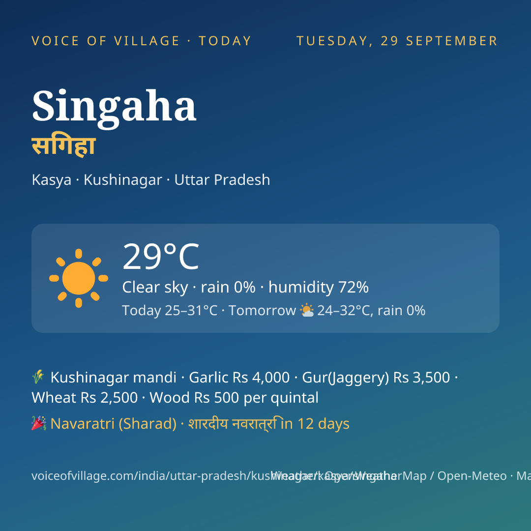 Singaha today