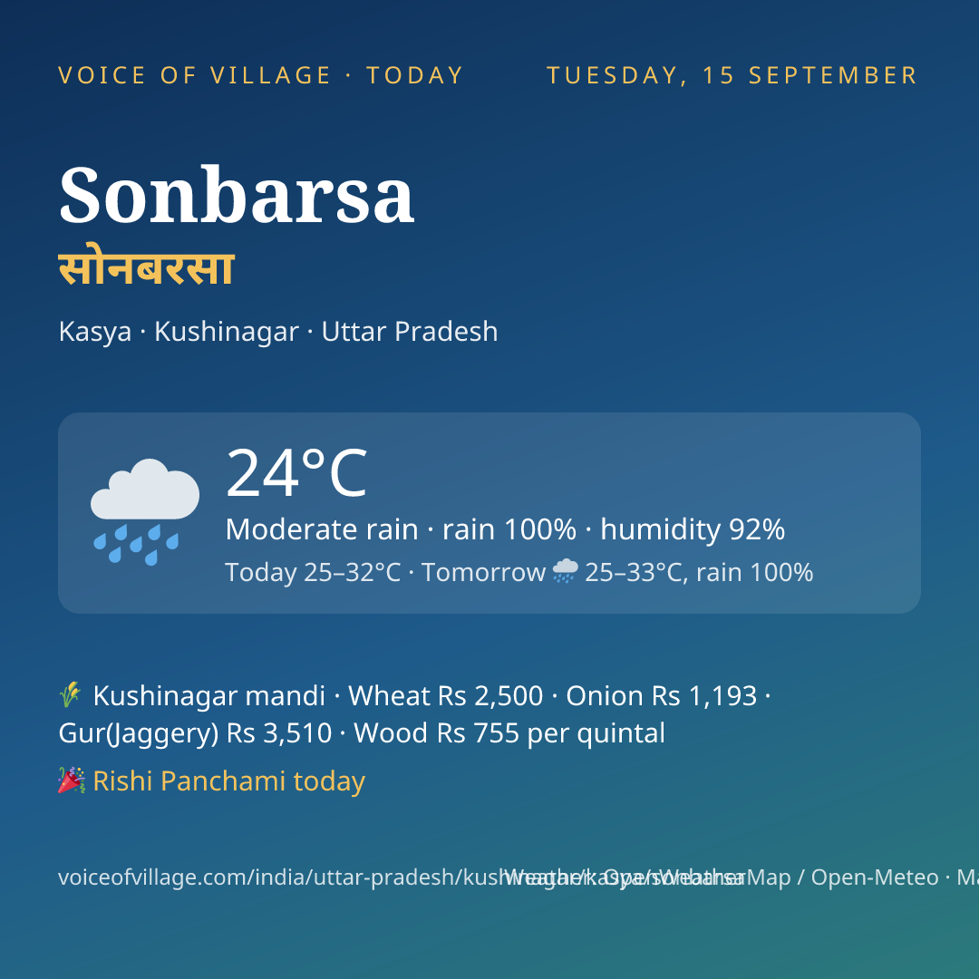 Sonbarsa today