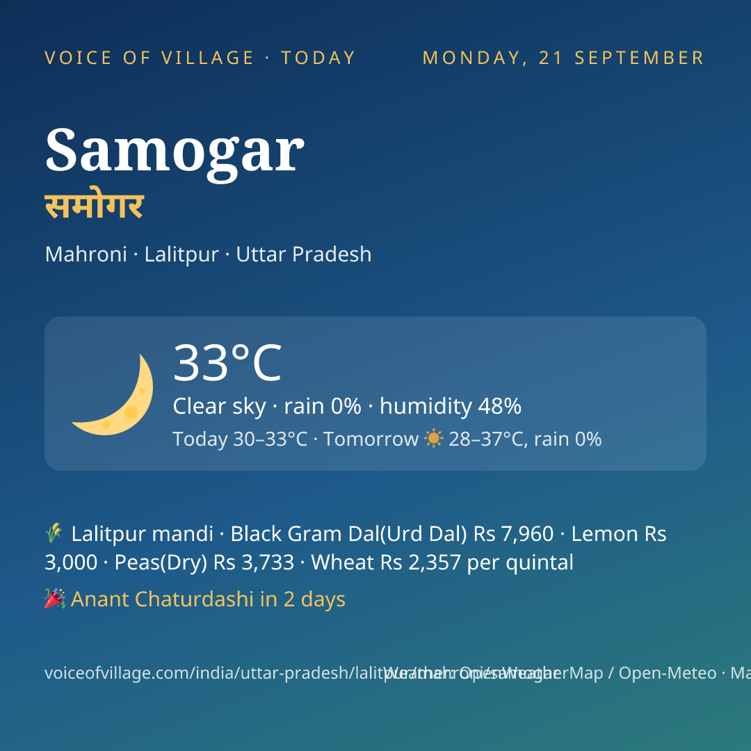 Samogar today
