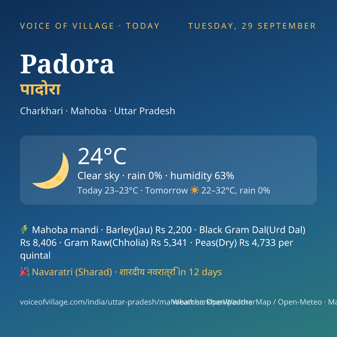 Padora today
