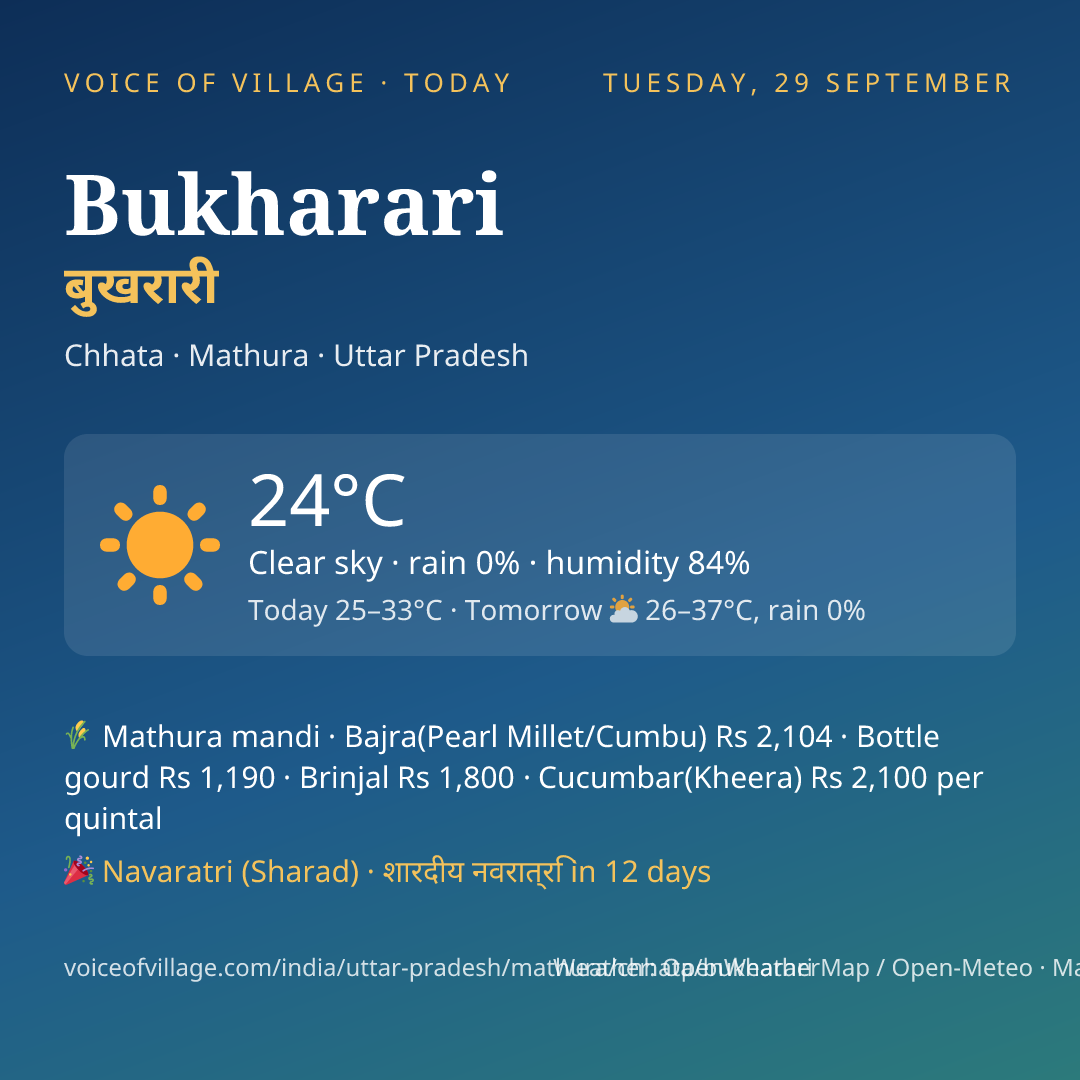 Bukharari today