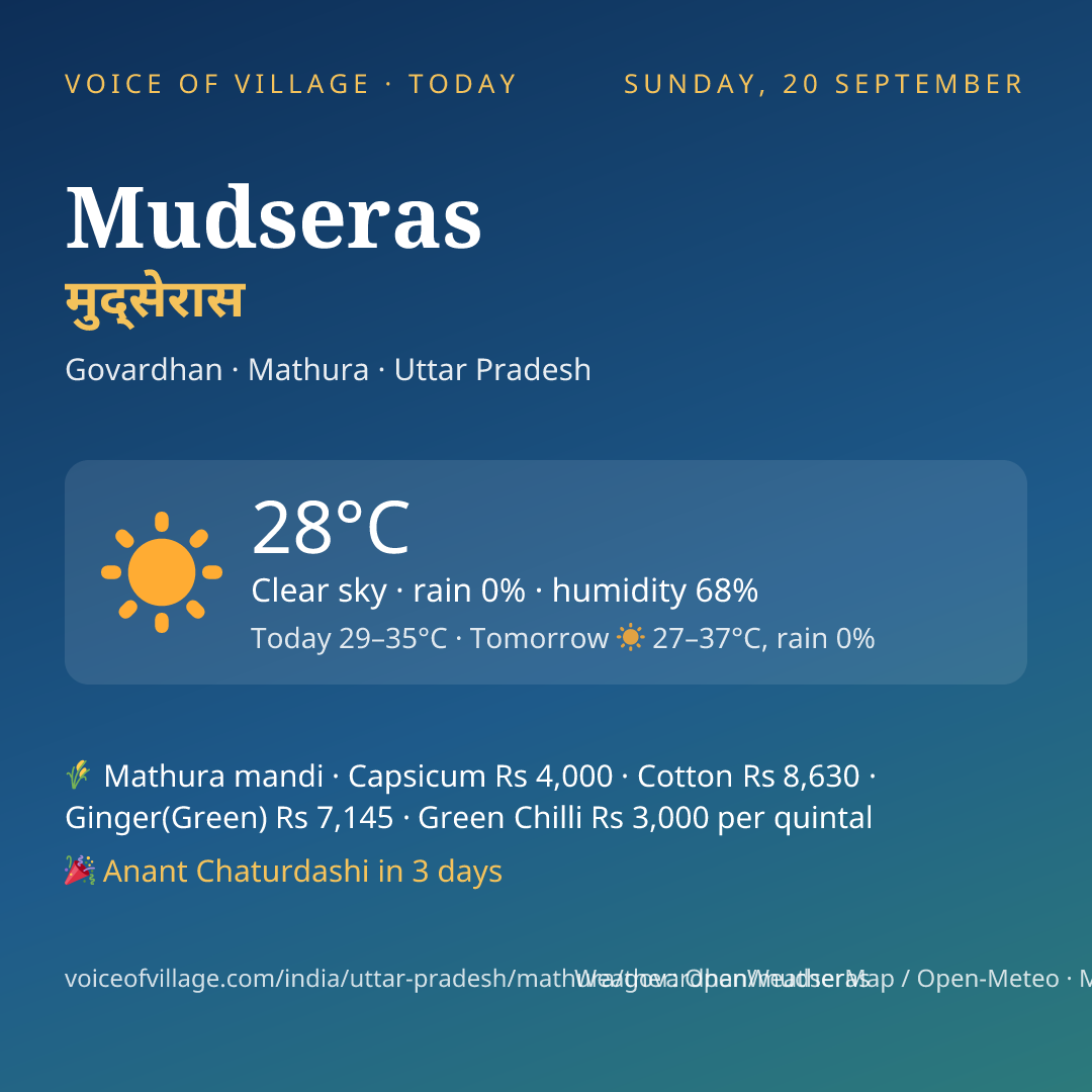 Mudseras today