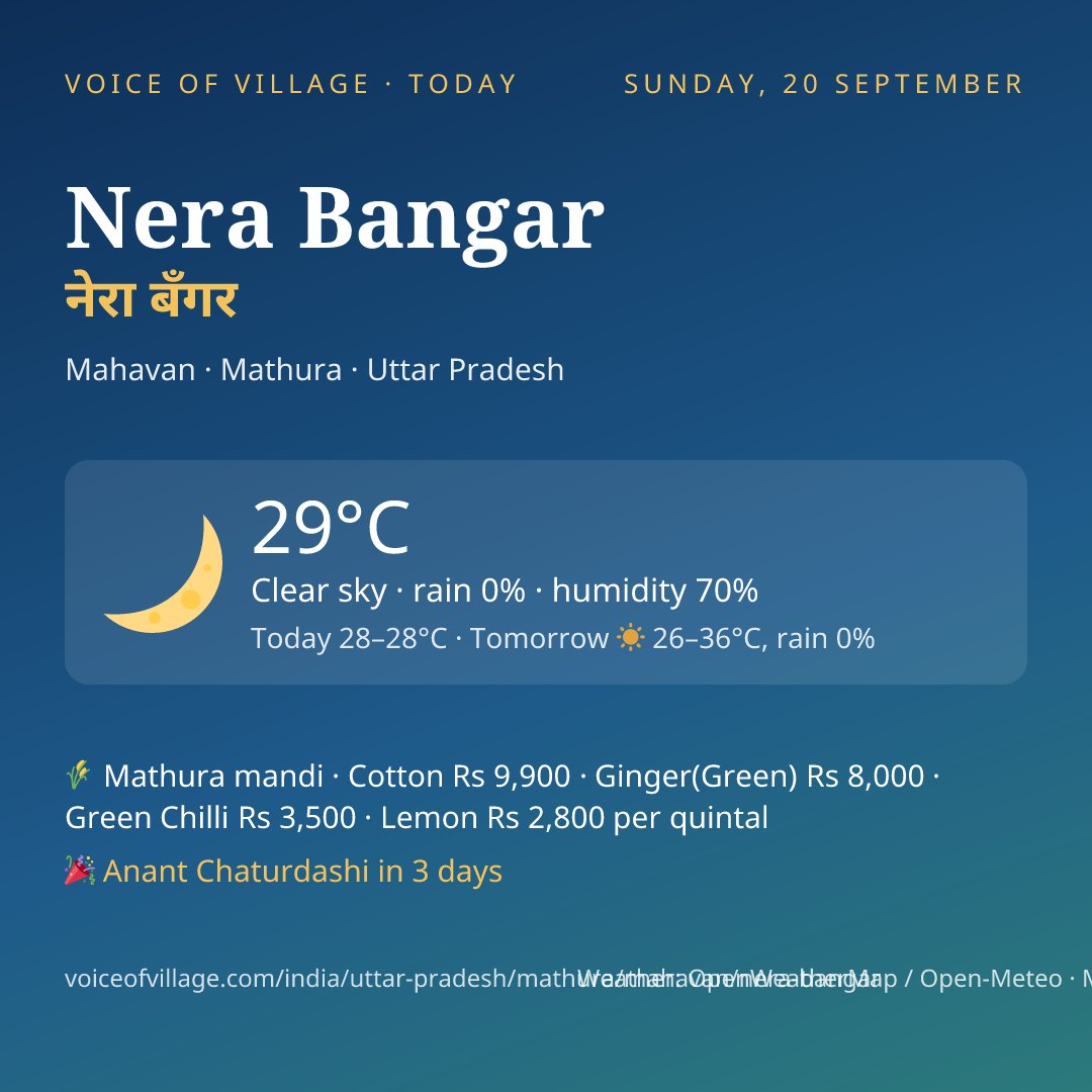Nera Bangar today