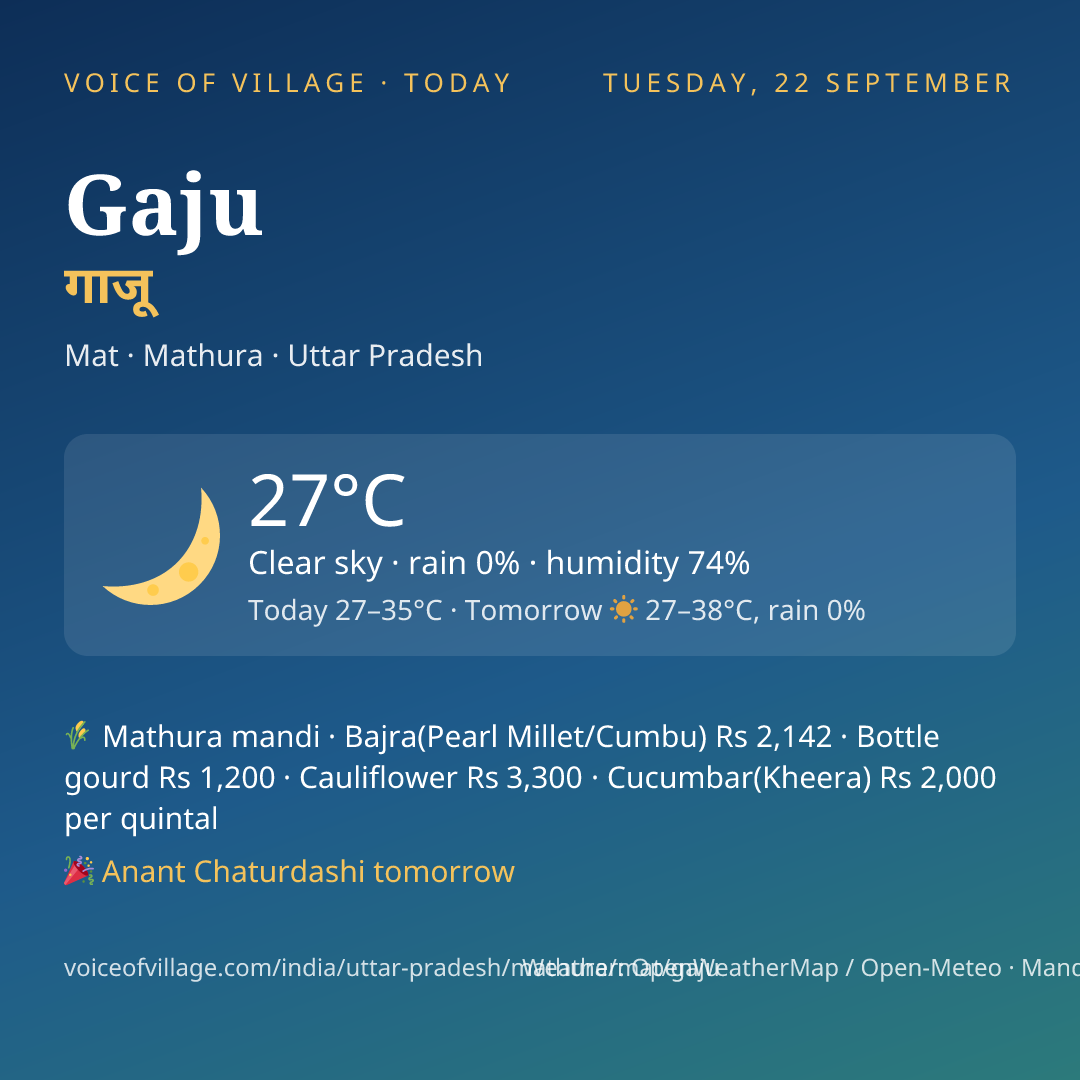 Gaju today