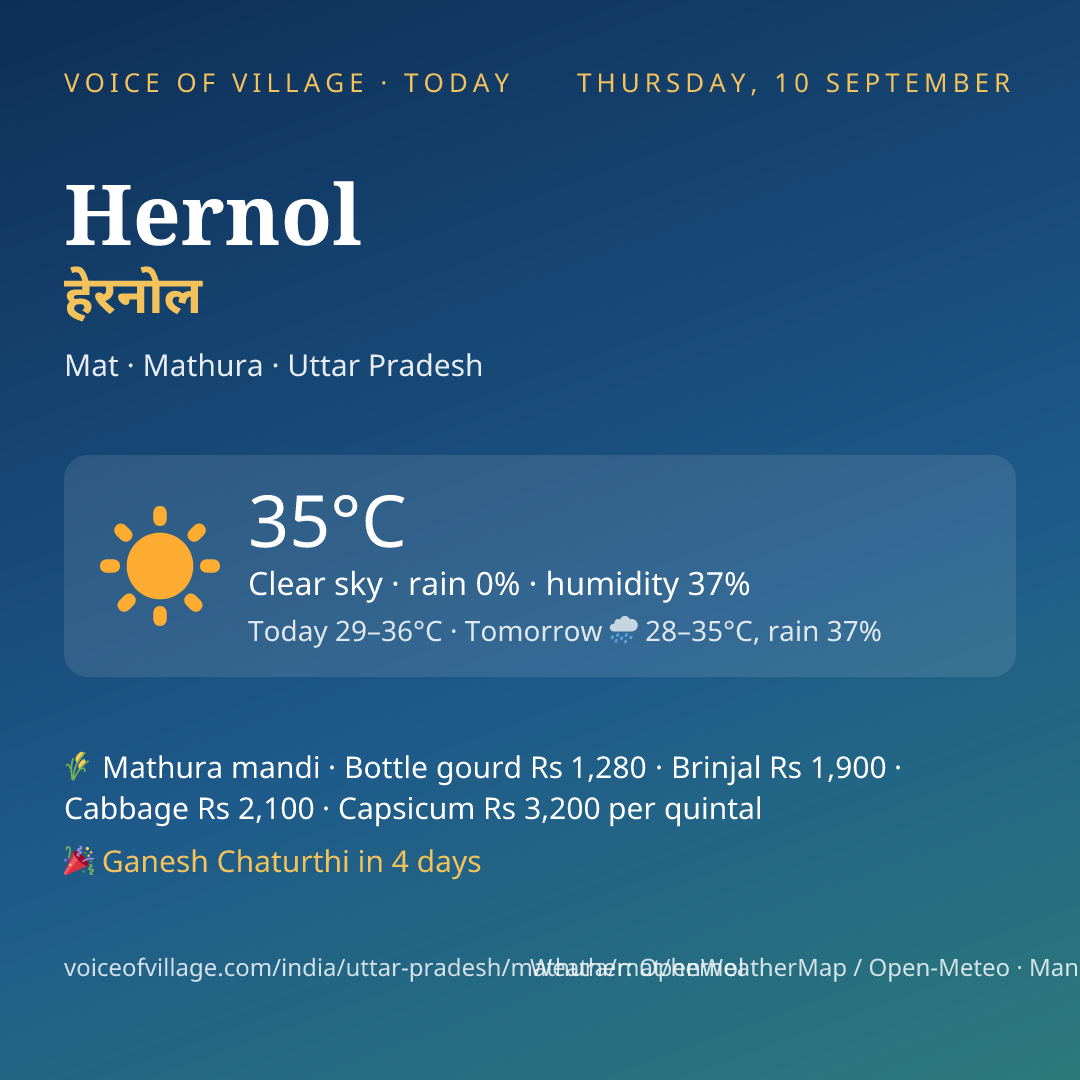 Hernol today