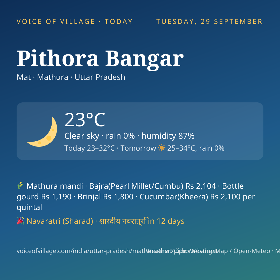 Pithora Bangar today