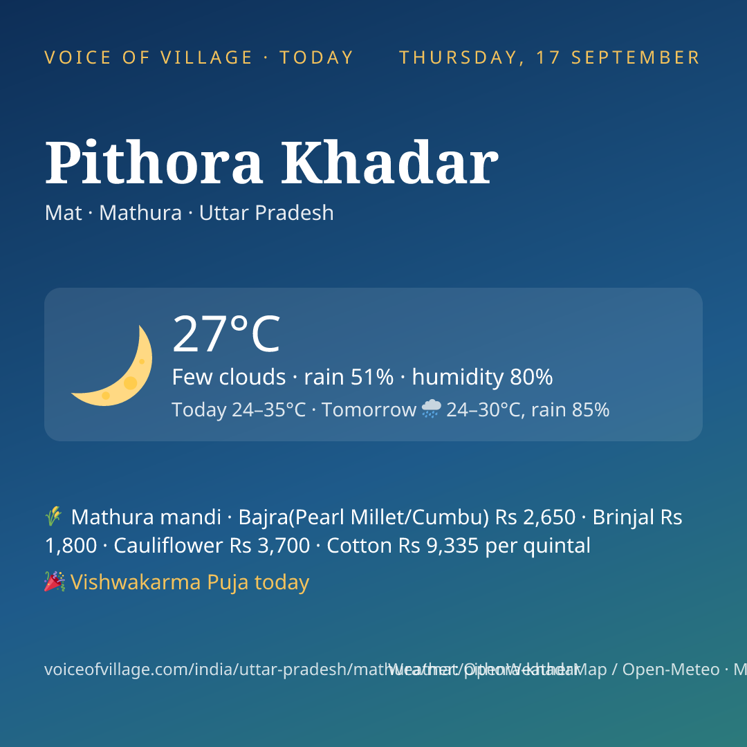 Pithora Khadar today